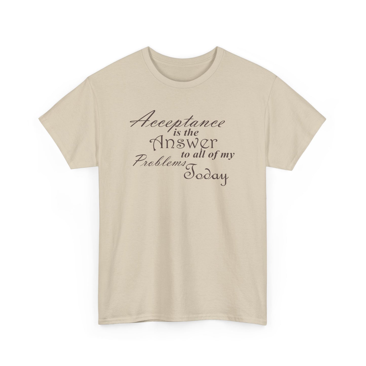 Acceptance is the Answer Unisex Heavy Cotton Tee